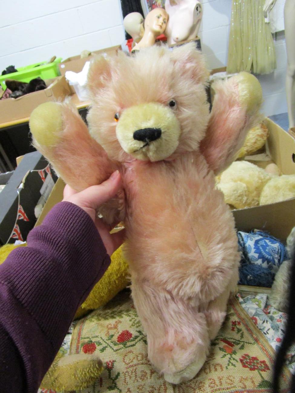 Circa 1930s yellow plush jointed teddy bear with boot button eyes, stitched nose and claws; - Image 6 of 8