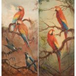 Renato Cataldi (1909-1981) Brazilian ''Macaws'' ''Two Scarlet Macaws'' Each signed, oil on board,