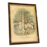 Peake, G. The Tree of Misery and Death. c.1880. Hand-coloured lithograph, framed and glazed.
