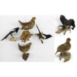 Taxidermy: European Game Birds, circa late 20th century, a selection of various mounted birds to