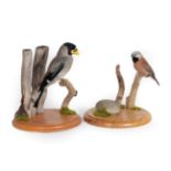 Taxidermy: Japanese Grosbeak and Black-Throated Finch, modern, by David Airey, Taxidermy, Ingleby