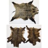 Skins/Hides: European Wild Boar/ Chamois Skins, circa late 20th century, a large complete adult