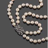 A Two Row Cultured Pearl Necklace, the 45:49 pearls knotted to an oblong clasp set with sapphires in