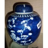 Chinese prunus blue and white ginger jar with lid