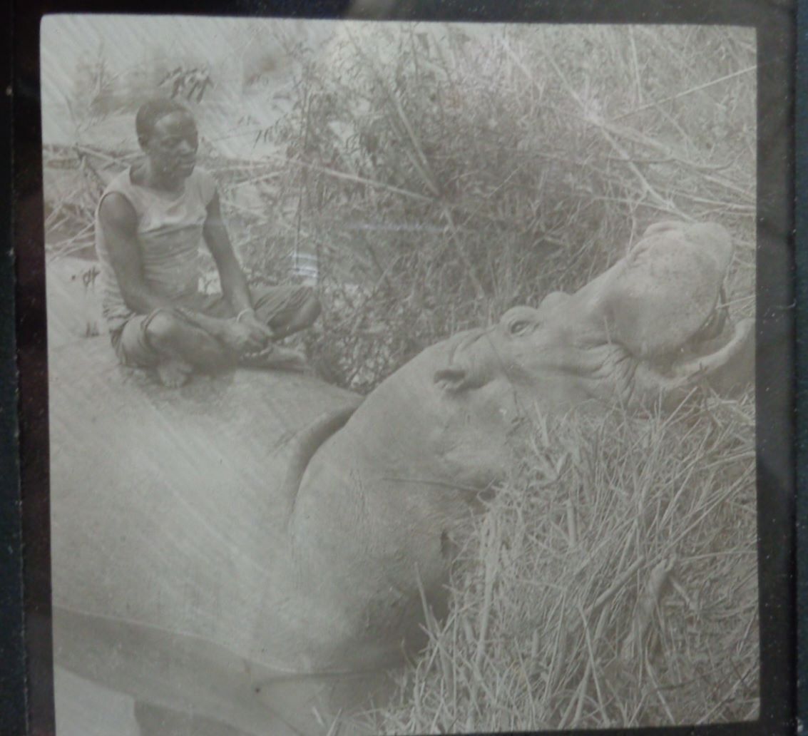 Good collection of lantern slides in four cases of images of African natives and dwellings, - Image 13 of 18