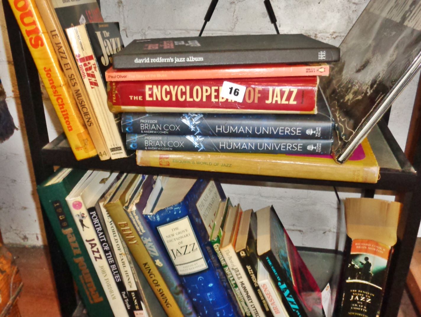 Two shelves of books on jazz and blues music