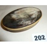 19th c. carved oval horn snuff box