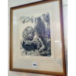 A John Tennant print (59/150) of kestrels, signed and dated