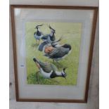 John TENNENT (b.1926) watercolour of lapwings 25" x 19" inc. frame, signed and dated 1976