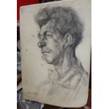 Ziffer SANDOR (1880-1962) Hungary, charcoal portrait of a man, signed lower left, unframed 50cm x