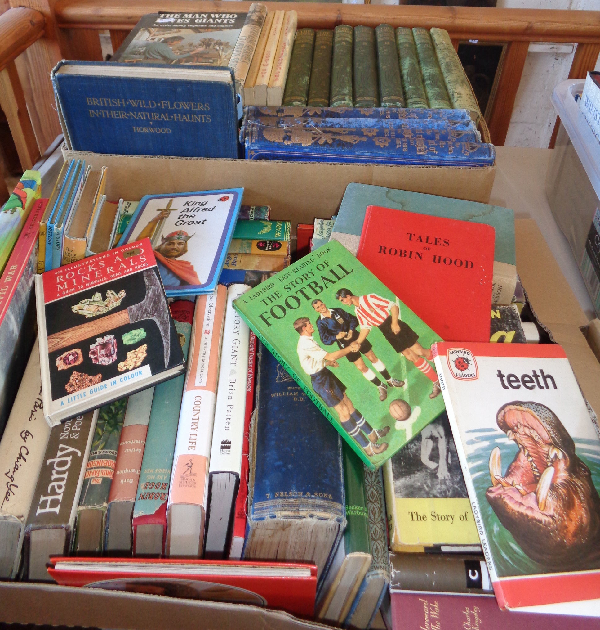 Two boxes of assorted books