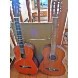 Two acoustic guitars