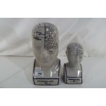 Two ceramic Phrenology heads,