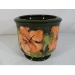 Moorcroft Pottery - a small Moorcroft Pottery jardiniere decorated with hibiscus on a green ground