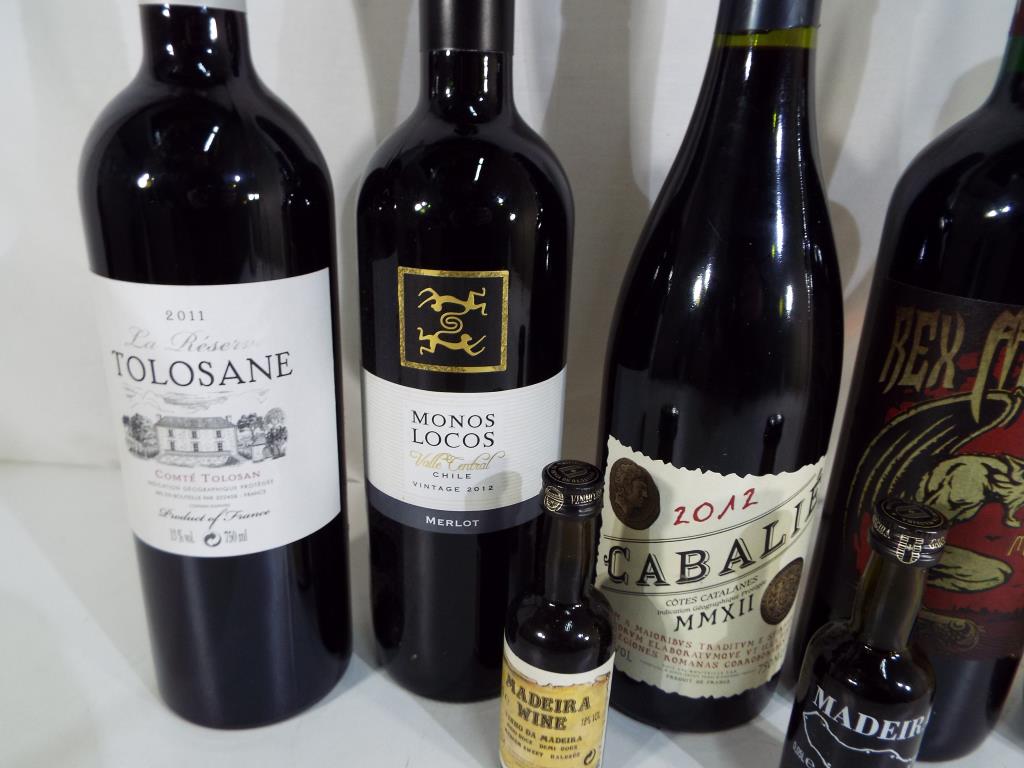 Wines - a collection of wines to include Monos Locos, Chile Merlot, a Shiraz Merlot by Rexmundi, - Image 3 of 3