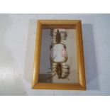 Entomology - two Southern Tunisian scorpions mounted under glass Est £20 - £40.