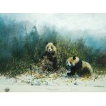 After David Shepherd (1931 - 2017) - a limited edition print entitled The Pandas of Wolong,