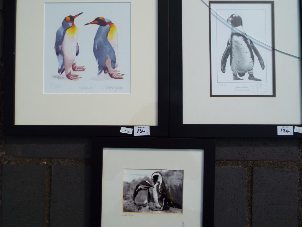 A limited edition print depicting a Jackass penguin by Gary Hodges,