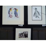 A limited edition print depicting a Jackass penguin by Gary Hodges,
