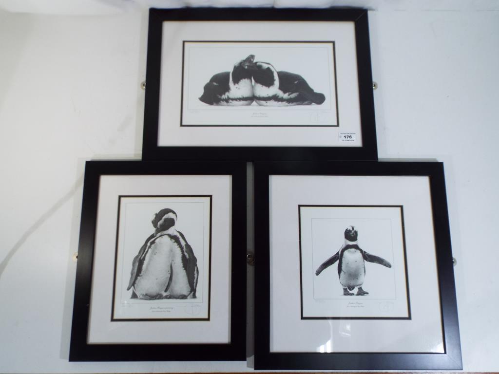 After Gary Hodges - three limited edition prints depicting Jackass Penguins,