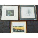 Three limited edition prints signed in pencil by the artist, the first entitled Natures Garden,