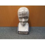 A large phrenology head, approximately 40 cm (h).