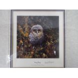 David Shepherd - a limited edition colour print by David Shepherd entitled Baby Tawny numbered 1155