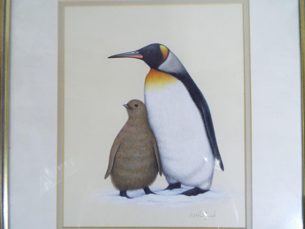 R H Petherick - a detailed study of a king penguin and chick signed lower right,