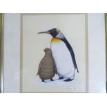 R H Petherick - a detailed study of a king penguin and chick signed lower right,