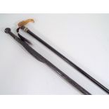 Walking sticks - an ebony walking cane with carved snake detailing and a wooden cane with carved
