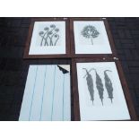 Three large framed prints depicting botanical studies, image size approximately 50 cm x 42 cm,