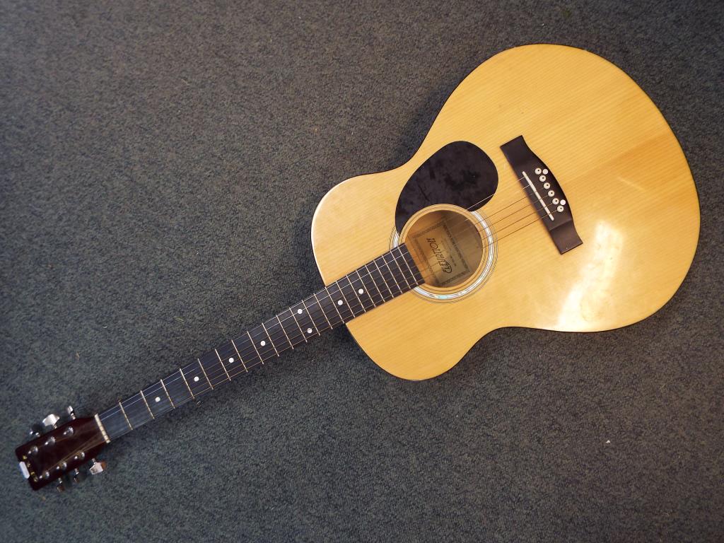 An Elevation acoustic guitar # W-100-N-A.