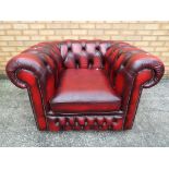 An oxblood button back Chesterfield club chair with studded arm fronts.