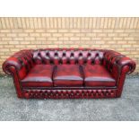 A three seat oxblood button back Chesterfield sofa with studded arm fronts,