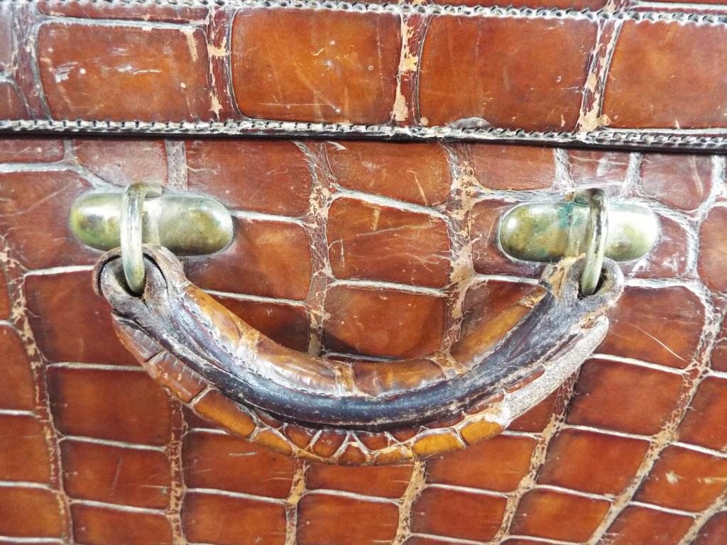 An early 20th century crocodile suitcase by the North West Tanner and Co Limited Cawnpore [Kampur] - Image 11 of 11