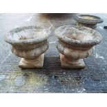 A pair of reconstituted stone urn plante