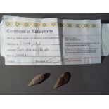 Two arrowheads with certificate of authenticity.