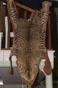 Cheetah skin