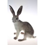 Winstanley Arctic hare,