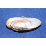 Mussel shell purse