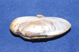 Mussel shell purse