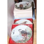 Six boxed Birds of Prey plates and Wedgwood plate