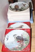 Six boxed Birds of Prey plates and Wedgwood plate