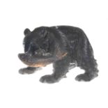 Black wooden carved grizzly bear carrying a fish in its mouth,