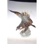 Capodimonte model of an eagle with outstretched wings, no.