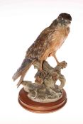 Composite sculpture of a kestrel perched on a branch