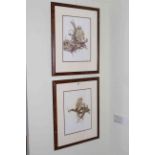 Pair framed owl prints.