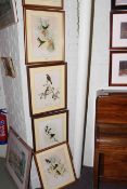 Five framed bird prints by J. Gould and HC Richter.