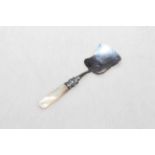 Victorian silver and mother of pearl caddy spoon.