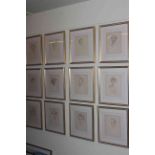 Set of twelve framed portrait sketches and two framed prints.